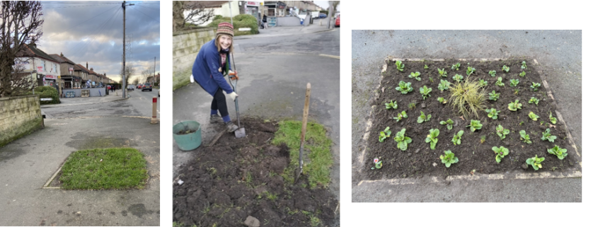 Planting Spring flowers 24
