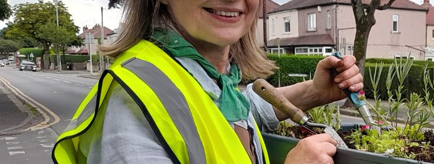 Summer 2024 planter clearing 2