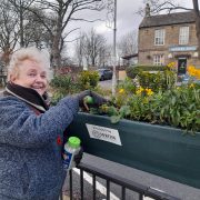 Councillor Gillian Thorne adding to the plants in the barrier baskets